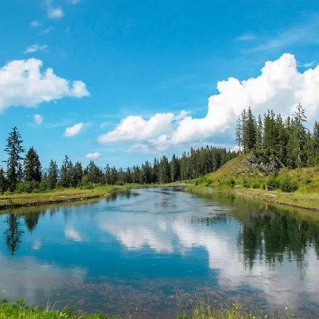 Brandegg 2 By Interhome * Fuegenberg