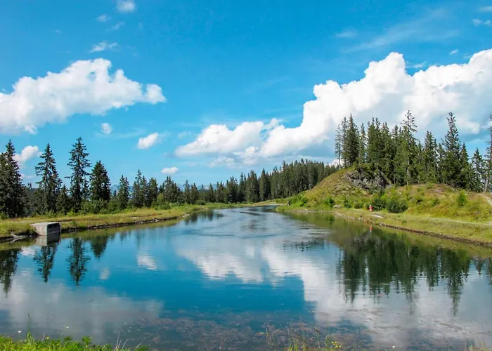 Brandegg 2 By Interhome * Fuegenberg